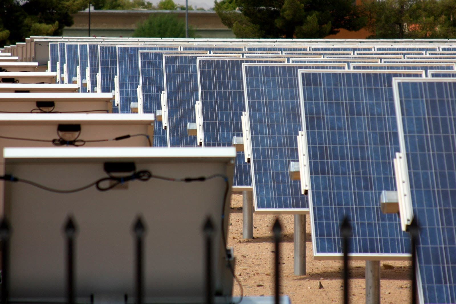 Rows of solar panels in a campus solar array.